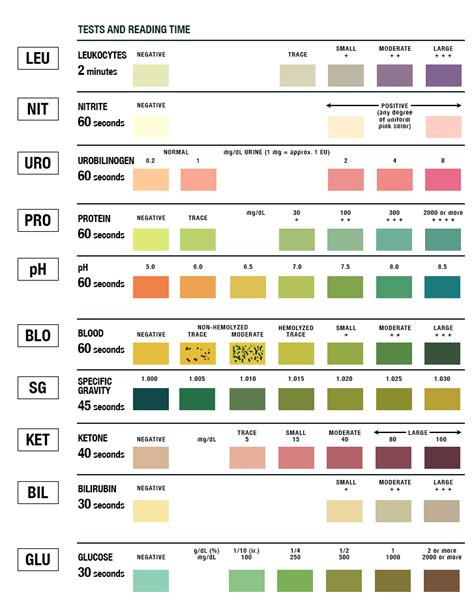 siemens urine test strips chart